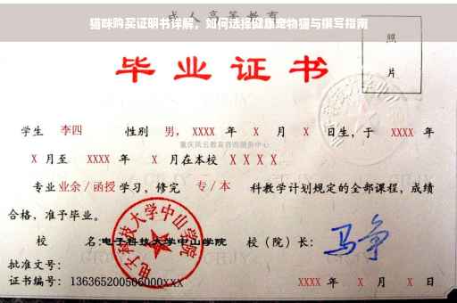 猫咪购买证明书详解，如何选择健康宠物猫与撰写指南