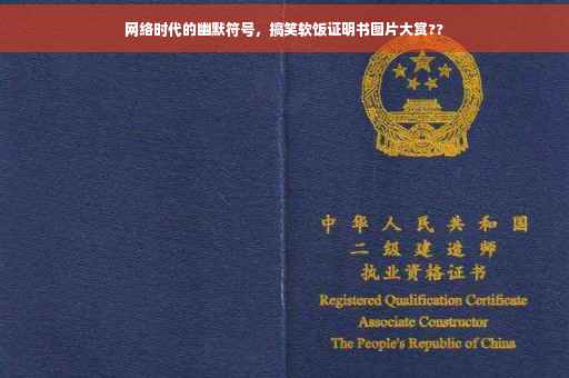网络时代的幽默符号，搞笑软饭证明书图片大赏??