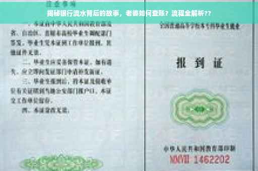 揭秘银行流水背后的故事，老婆如何查账？流程全解析??