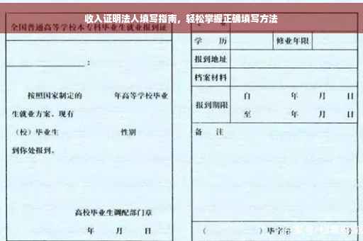 收入证明法人填写指南，轻松掌握正确填写方法