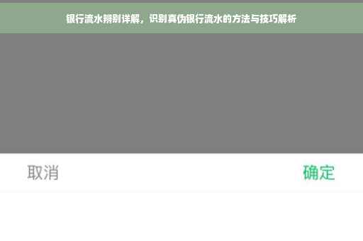 银行流水辨别详解，识别真伪银行流水的方法与技巧解析