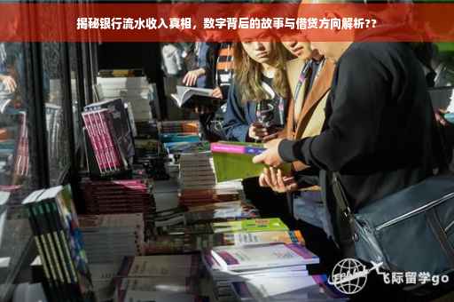 揭秘银行流水收入真相，数字背后的故事与借贷方向解析??