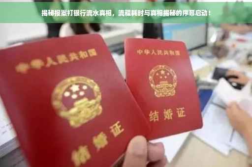 揭秘报案打银行流水真相，流程耗时与真相揭秘的序幕启动！