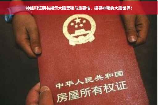 神经科证明书揭示大脑奥秘与重要性，探寻神秘的大脑世界！