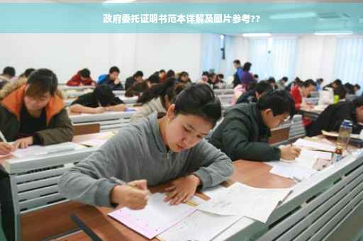政府委托证明书范本详解及图片参考??