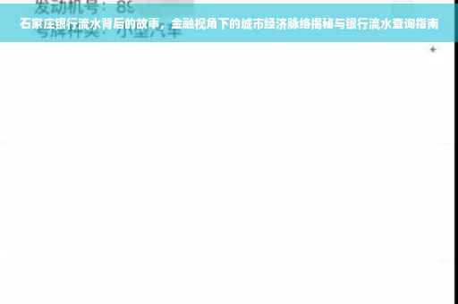 石家庄银行流水背后的故事，金融视角下的城市经济脉络揭秘与银行流水查询指南