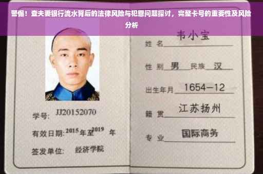 警惕！查夫妻银行流水背后的法律风险与犯罪问题探讨，完整卡号的重要性及风险分析