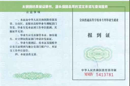太钢钢坯质量证明书，源头保障品质的坚定承诺与查询服务