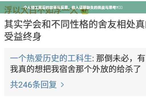 个人停工背后的故事与反思，收入证明缺失的挑战与思考?⚡️