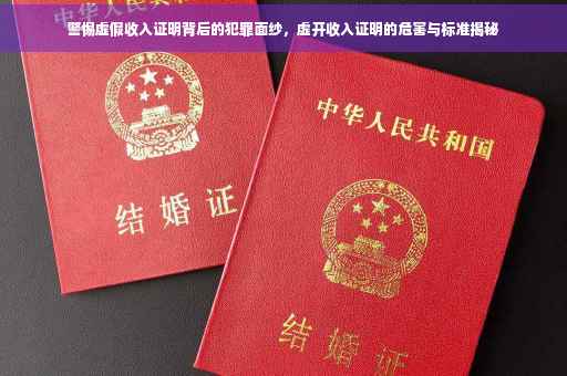 警惕虚假收入证明背后的犯罪面纱，虚开收入证明的危害与标准揭秘