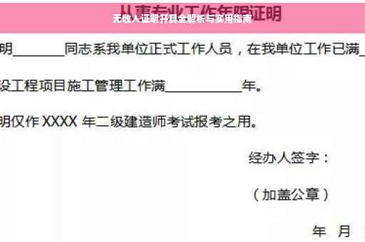 无收入证明开具全解析与实用指南