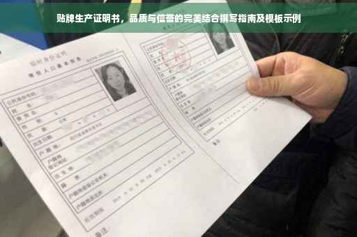 贴牌生产证明书，品质与信誉的完美结合撰写指南及模板示例