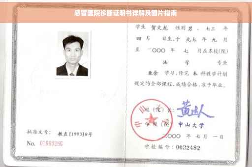 感冒医院诊断证明书详解及图片指南