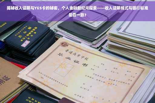 揭秘收入证明与YES卡的秘密，个人金融新纪元探索——收入证明格式与银行标准是否一致？