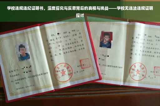 学校违规违纪证明书，深度探究与反思背后的真相与挑战——学校无违法违规证明探讨