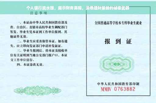 个人银行流水图，揭示财务真相，洞悉理财策略的秘密武器