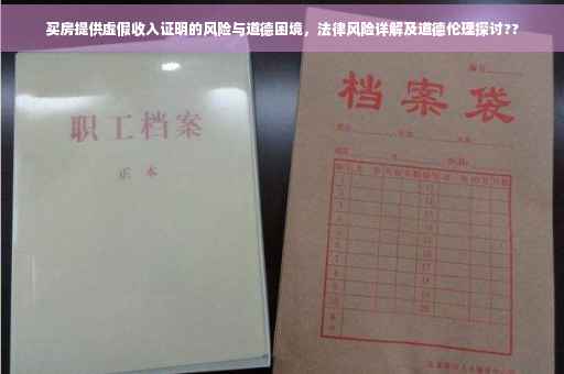 买房提供虚假收入证明的风险与道德困境，法律风险详解及道德伦理探讨??