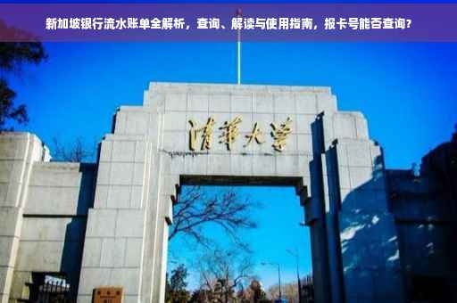 新加坡银行流水账单全解析，查询、解读与使用指南，报卡号能否查询？