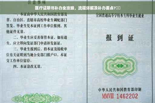 医疗证明书补办全攻略，流程详解及补办要点?⚡️