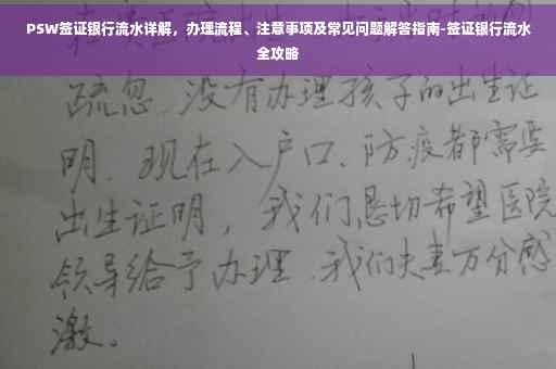 PSW签证银行流水详解，办理流程、注意事项及常见问题解答指南-签证银行流水全攻略