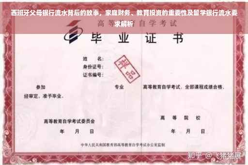 西班牙父母银行流水背后的故事，家庭财务、教育投资的重要性及留学银行流水要求解析
