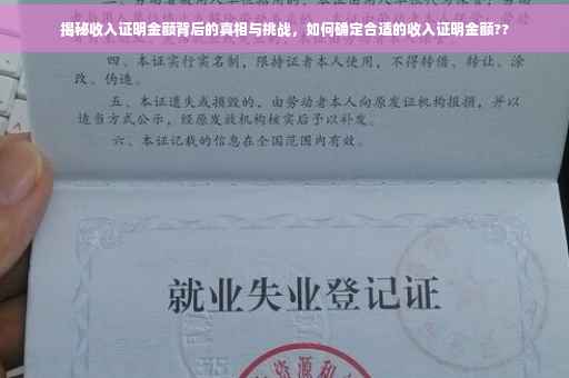 揭秘收入证明金额背后的真相与挑战，如何确定合适的收入证明金额??