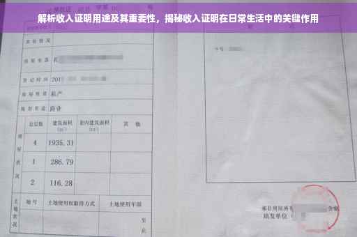 解析收入证明用途及其重要性，揭秘收入证明在日常生活中的关键作用