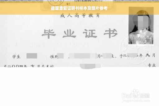 德国康复证明书样本及图片参考