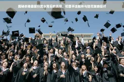 揭秘杀猪盘银行流水背后的真相，犯罪手法解析与防范策略探讨