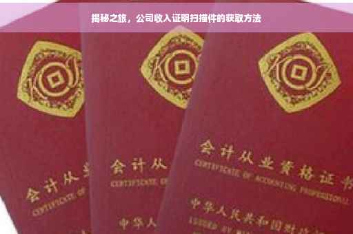 揭秘之旅，公司收入证明扫描件的获取方法