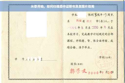 从零开始，如何扫描原件证明书及其图片指南
