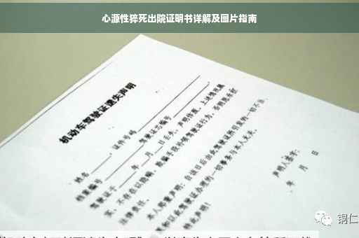 心源性猝死出院证明书详解及图片指南