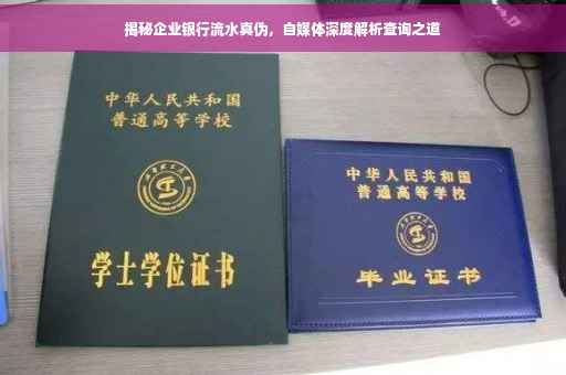 揭秘企业银行流水真伪，自媒体深度解析查询之道