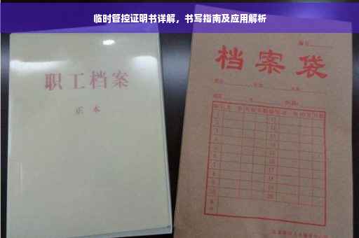 临时管控证明书详解，书写指南及应用解析