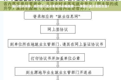 银行流水攻略，应对银行流水要求的必备指南——走银行流水是否合法？