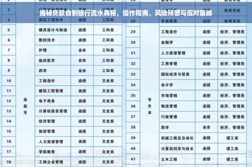 揭秘贷款自制银行流水真相，操作指南、风险预警与应对策略
