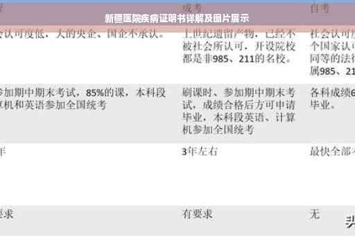 新疆医院疾病证明书详解及图片展示