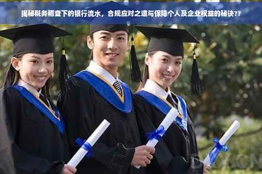 揭秘税务稽查下的银行流水，合规应对之道与保障个人及企业权益的秘诀??