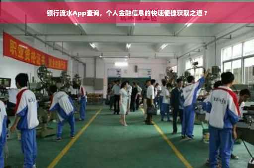 银行流水App查询，个人金融信息的快速便捷获取之道 ?