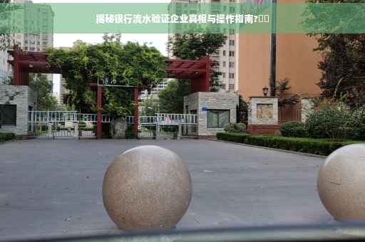 揭秘银行流水验证企业真相与操作指南?⚡️