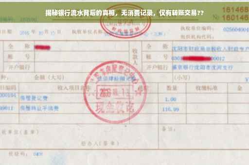 揭秘银行流水背后的真相，无消费记录，仅有转账交易??