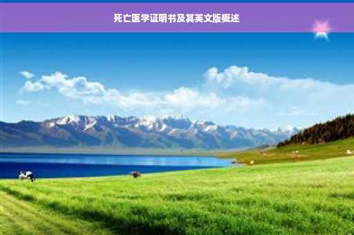 死亡医学证明书及其英文版概述