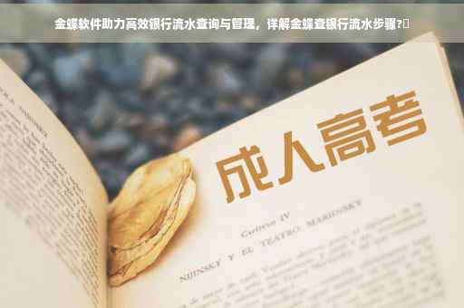 金蝶软件助力高效银行流水查询与管理，详解金蝶查银行流水步骤?✨
