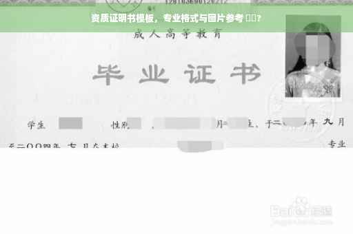 资质证明书模板，专业格式与图片参考 ⚡️?