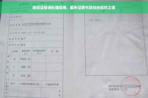 林权证错误处理指南，解析证明书及纠纷应对之道