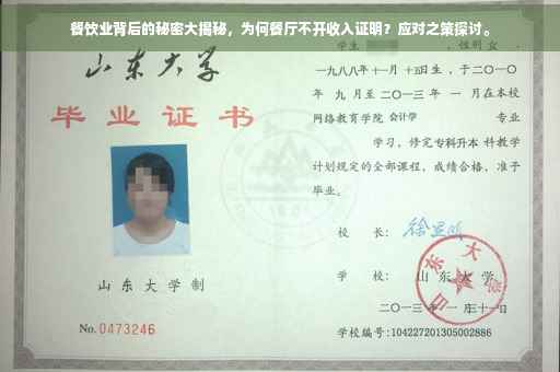 餐饮业背后的秘密大揭秘，为何餐厅不开收入证明？应对之策探讨。