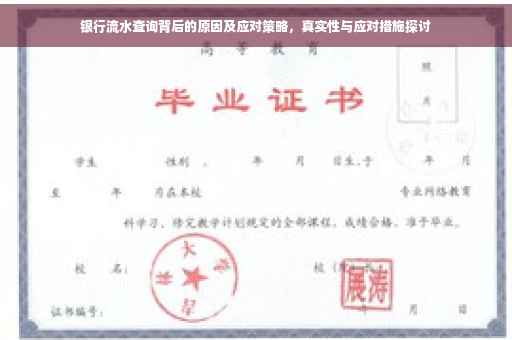 银行流水查询背后的原因及应对策略，真实性与应对措施探讨