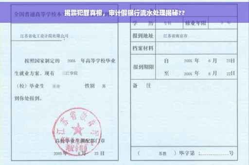 揭露犯罪真相，审计假银行流水处理揭秘??