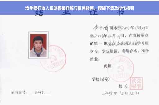 沧州银行收入证明模板详解与使用指南，模板下载及操作指引