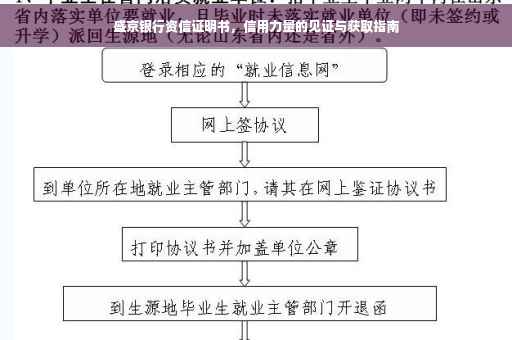 盛京银行资信证明书，信用力量的见证与获取指南